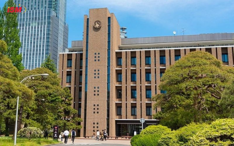 Cơ hội học tập trong môi trường hiện đại