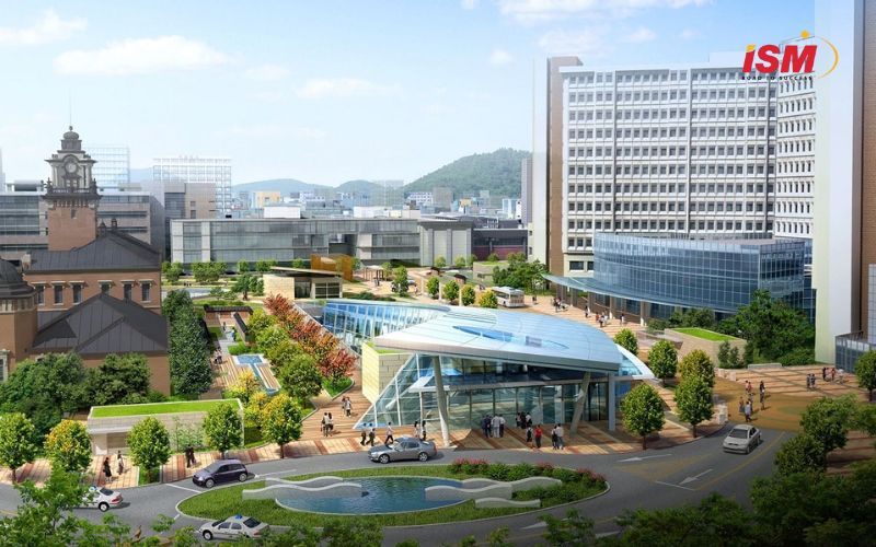 Độ tuổi du học Hàn Quốc không chỉ là một điều kiện xét tuyển, mà còn là yếu tố góp phần tạo nên môi trường học tập hiệu quả