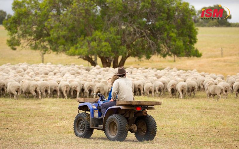 Nông nghiệp Australia từ lâu đã giữ vai trò trụ cột trong nền kinh tế quốc gia