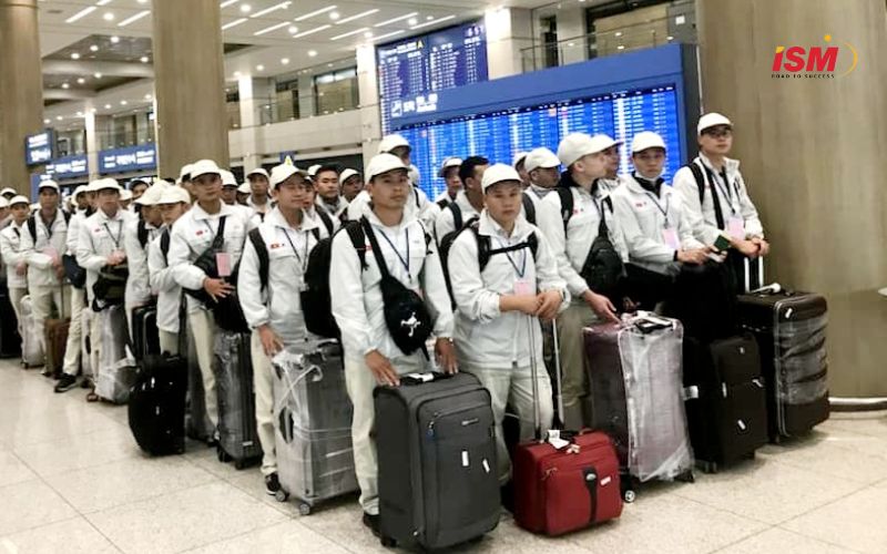 Thị trường xuất khẩu lao động Việt Nam sang Nhật Bản đạt nhiều kết quả đáng chú ý