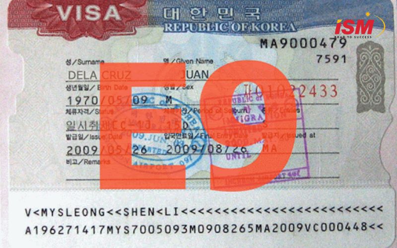 Visa E9 là loại thị thực do chính phủ Hàn Quốc cấp cho lao động nước ngoài tham gia Chương trình Cấp phép Việc làm cho Lao động Nước ngoài (Employment Permit System - EPS)