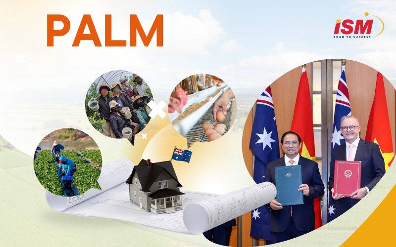 Chương trình PALM - Xuất khẩu lao động ÚC
